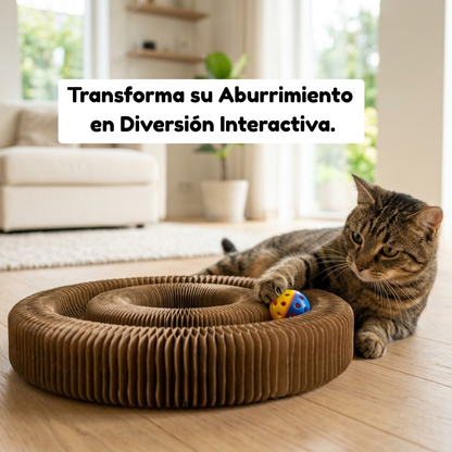 ZenPaws™ Orbit Track