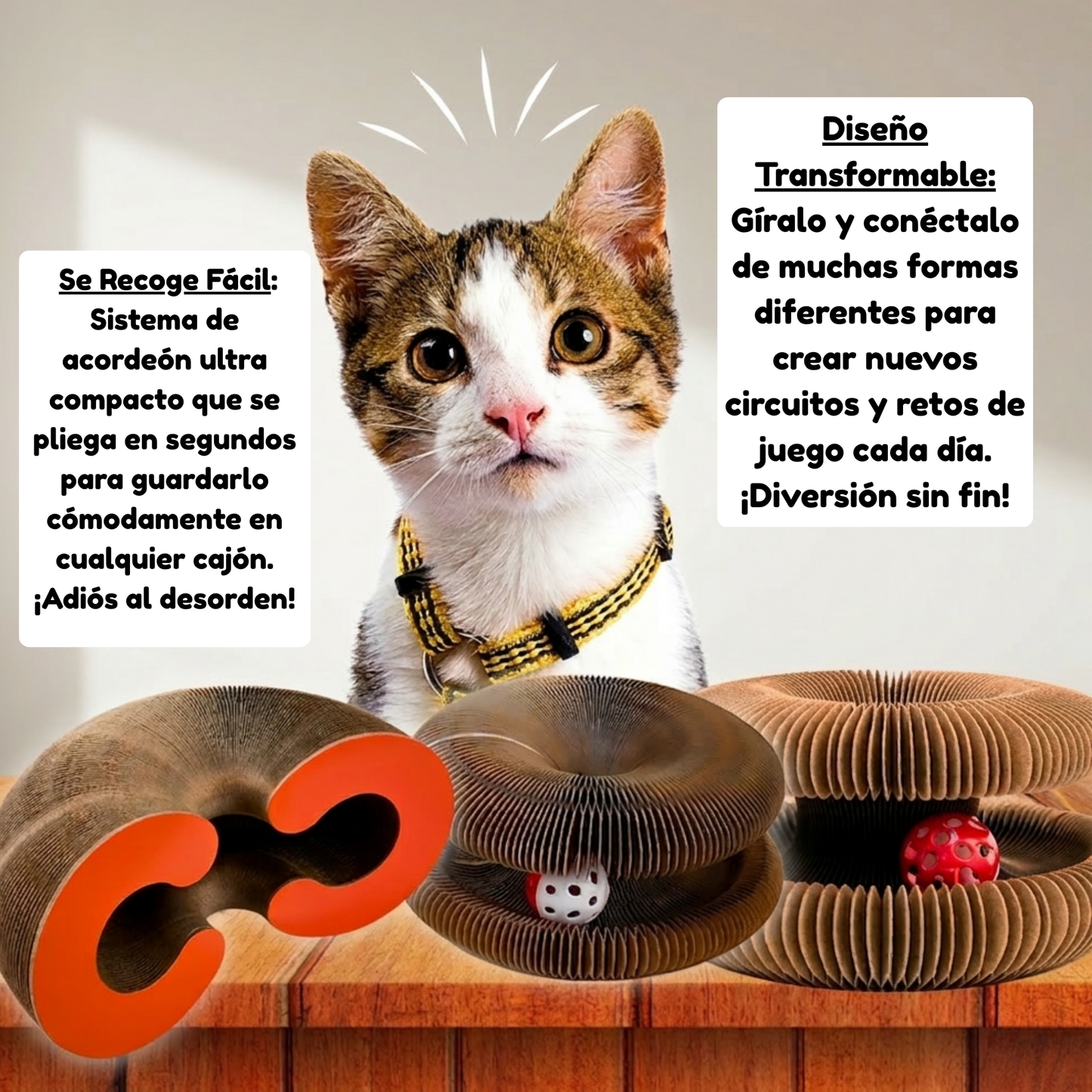 ZenPaws™ Orbit Track