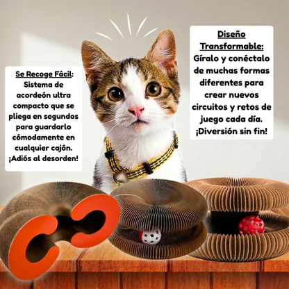 ZenPaws™ Orbit Track